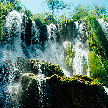 Kravice