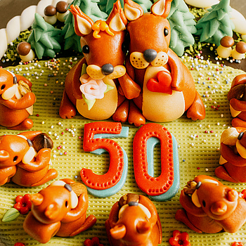 50+50