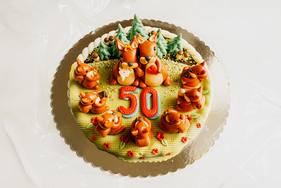 50+50