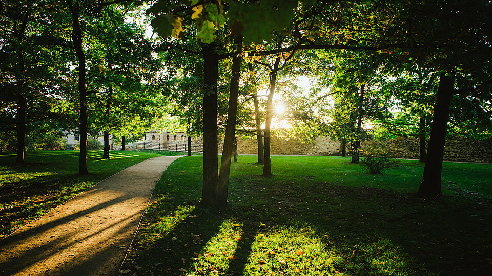 Vyšehrad